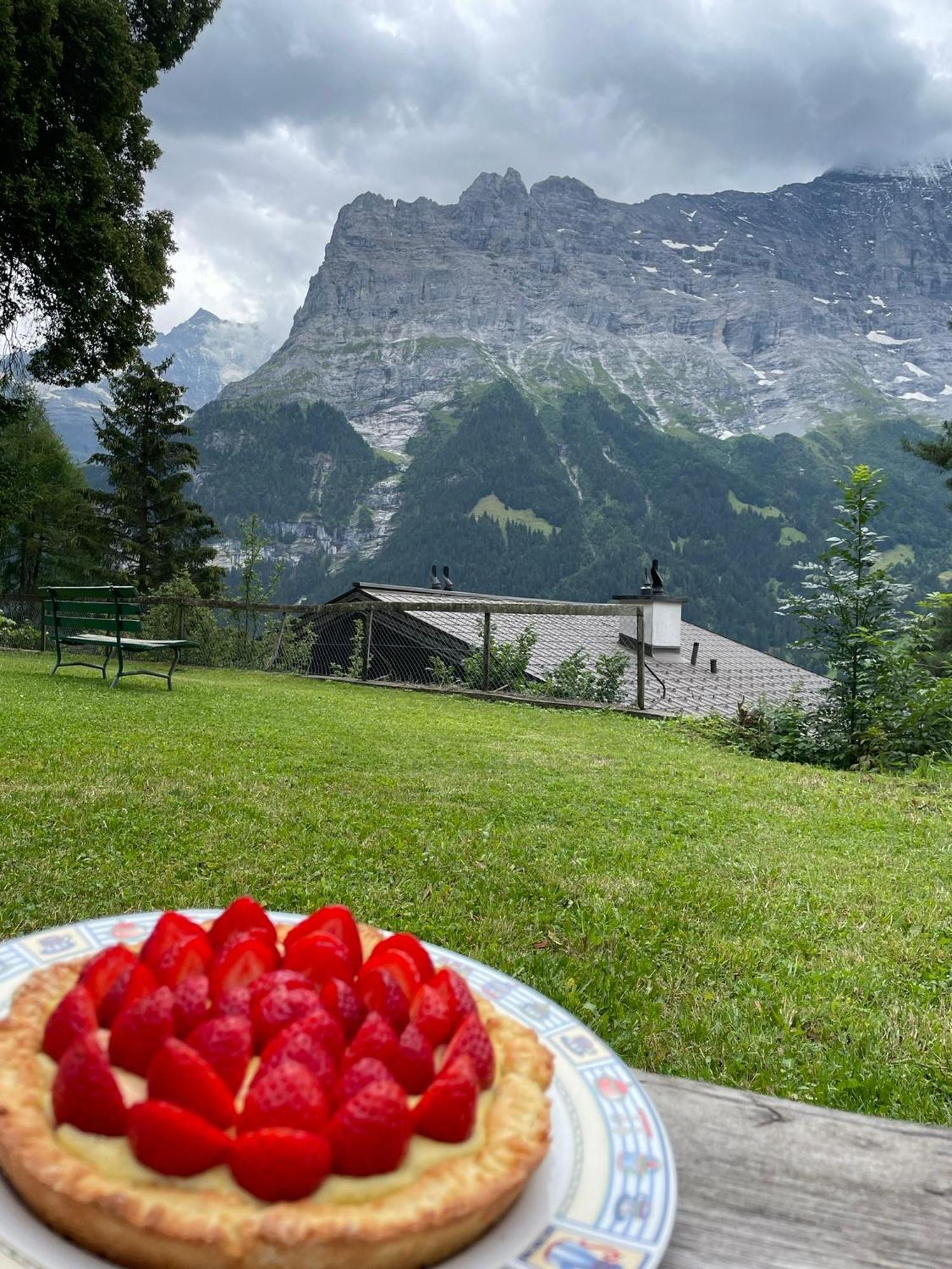 Eiger View Alpine Lodge Grindelwald Exterior foto